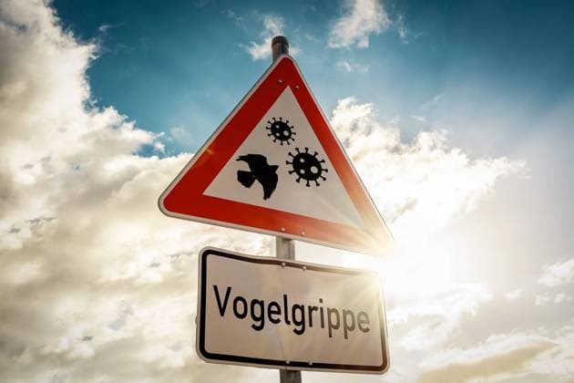 Bavaria, Germany - 11 February 2023: Warning sign with the inscription: Bird flu. Virus symbols with a bird. Warning of the spread and transmission of bird flu viruses PHOTOMONTAGE *** Warnschild mit der Aufschrift: Vogelgrippe. Virus Symbole mit einem Vogel. Warnung vor Ausbreitung und Übertragung der Vogelgrippe Viren FOTOMONTAGE