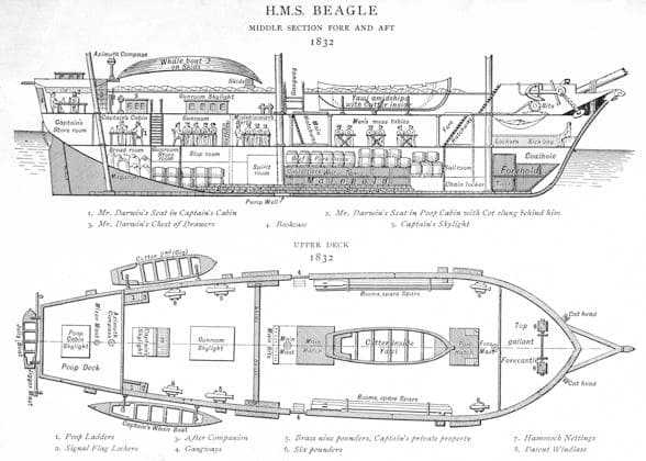 Plan of the HMS Beagle research ship of Charles Darwin HMS Beagle. Charles Darwin s research ship Date: 1832  Copyright: Copyrightx(c)Geminix2023.xCredit:xGemini 12002658