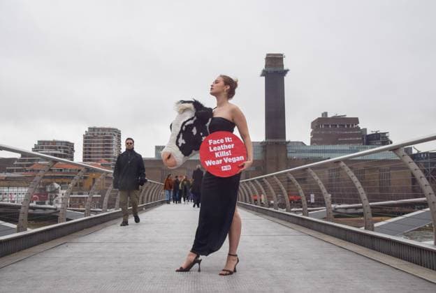 February 16, 2023, London, United Kingdom: PETA (People for the Ethical Treatment of Animals) staged a ˜catwalk™ on Millennium Bridge on the eve of London Fashion Week with a model wearing an outfit with a faux cow™s head and holding a placard which states Leather kills, wear vegan . The stunt aims to inspire people to ditch animal leather and references Schiaparelli™s ˜animal heads™ which caused much controversy recently at Paris Fashion Week. London United Kingdom - ZUMAs197 20230216_zaa_s197_352 Copyright: xVukxValcicx