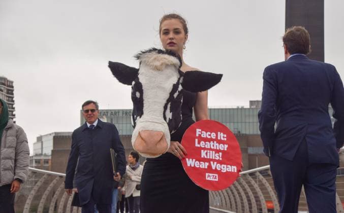 February 16, 2023, London, United Kingdom: PETA (People for the Ethical Treatment of Animals) staged a ˜catwalk™ on Millennium Bridge on the eve of London Fashion Week with a model wearing an outfit with a faux cow™s head and holding a placard which states Leather kills, wear vegan . The stunt aims to inspire people to ditch animal leather and references Schiaparelli™s ˜animal heads™ which caused much controversy recently at Paris Fashion Week. London United Kingdom - ZUMAs197 20230216_zaa_s197_351 Copyright: xVukxValcicx