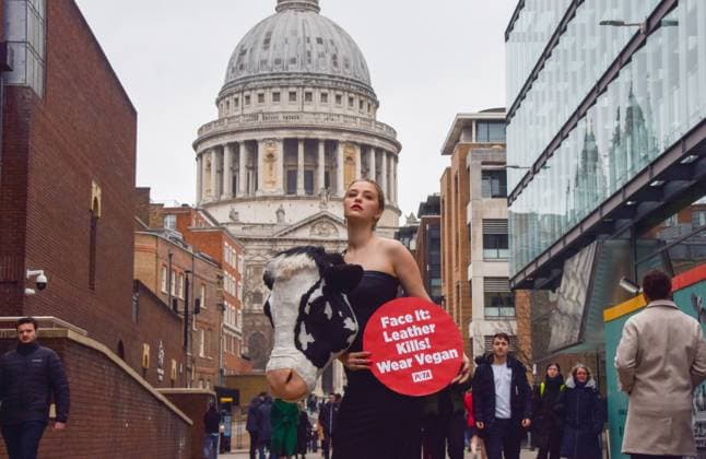 February 16, 2023, London, United Kingdom: PETA (People for the Ethical Treatment of Animals) staged a ˜catwalk™ on Millennium Bridge on the eve of London Fashion Week with a model wearing an outfit with a faux cow™s head and holding a placard which states Leather kills, wear vegan . The stunt aims to inspire people to ditch animal leather and references Schiaparelli™s ˜animal heads™ which caused much controversy recently at Paris Fashion Week. London United Kingdom - ZUMAs197 20230216_zaa_s197_348 Copyright: xVukxValcicx