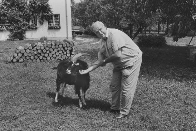 Oesterreich, St. Lorenz, 09.08.1992 Archiv.: 35-72 Sommerurlaub von Bundeskanzler Kohl Foto: Helmut Kohl mit Ziegenbock Peter auf dem Bauernhof bei Familie Hammerl Sommerurlaub von Bundeskanzler Kohl *** Austria, St Lorenz, 09 08 1992 Archive 35 72 Summer vacation of Chancellor Kohl Photo Helmut Kohl with billy goat Peter on the farm at family Hammerl Summer vacation of Chancellor Kohl