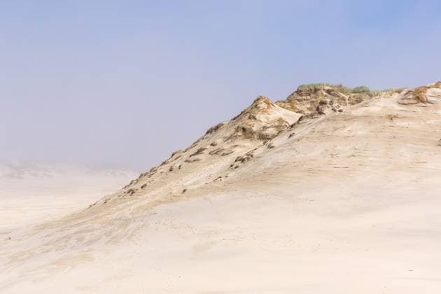 Dunes in foggy weather in Slowinski national park. Leba, Poland Copyright: xMarinaxGlebovax xDesignxPicsx , 31925483 Copyright: PavelxKonovalovx xDesignxPics 31925483