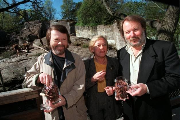 SCANPIX SWEDEN, 1998-05-13. Skansens nya björnungar döps till Björn och Benny. Bilden (fr.v.): Björn Ulvaeus och Benny Andersson som gett inspiration till namnen fanns pa plats vid dopet. Anna-Greta Leijon bjöd pa chokladbjörnar under ceremonin. abba x50040x *** SCANPIX SWEDEN, 1998 05 13 Skansens new bear cubs are named Björn and Benny The picture from left Björn Ulvaeus and Benny Andersson, who inspired the names, were present at the christening Anna Greta Leijon offered chocolate bears during the ceremony abba x50040x  Copyright: xUlfxPalm TTx SKANSEN BJÖRNDOP