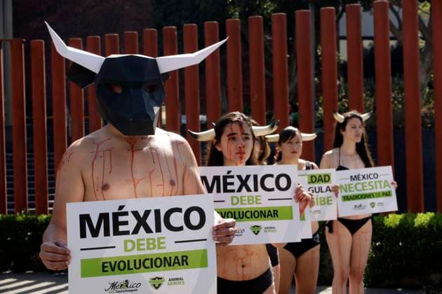 News Bilder des Tages Legislators are required to cancel bullfights in Mexico February 21, 2023, Mexico City, Mexico: The organization Animal Heroes sues lawmakers to ban bullfighting in Mexico, at a protest outside the Chamber of Deputies in Mexico City. on February 21, 2023 in Mexico City, Mexico (Photo by Luis Barron Eyepix Group). Copyright: x<author >x xEyepixxGroupx LB20230221_TOROS24