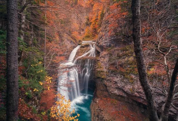 Picturesque view of powerful waterfall flowing through rocky slope near colorful autumn trees in Ordesa y Monte Perdido National Park JavierMartinez_ID12785_387846_013 Copyright: xJavierxMartinezx Model Released