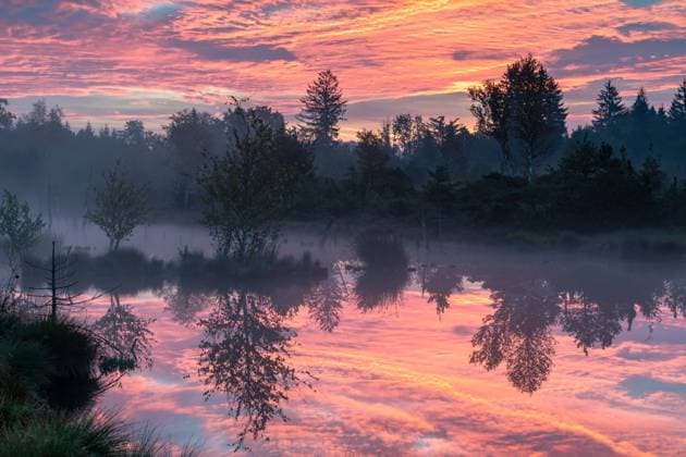 IMAGO Creative, Jahreszeit Herbst auf dem Land Neblige Morgendammerung im Wenger Moor, ein Hochmoor im Salzburger Land, Oesterreich Neblige Morgendammerung im Wenger Moor, ein Hochmoor im Salzburger Land, Oesterreich Copyright: xZoonar.com ROBERTxJANKx 19347942