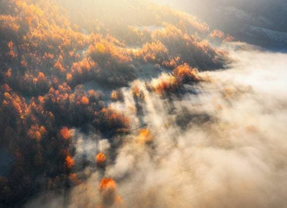 IMAGO Creative: Herbst, Lichtimpressionen RECORD DATE NOT STATED Aerial view of mountain forest in low clouds at sunrise in autumn. Hills with red and orange trees in fog in fall. Beautiful landscape with mountain, foggy forest, sunbeams. View from above of woods; Aerial Ansicht des Berg Wald ÊIn Geringe Wolken im Sonnenaufgang ÊIn Herbst Hügeln mit Roter und Orangefarbene Bäume ÊIn Nebel ÊIn herabfallen Schönes Landschaft mit mountain, neblig forest, Sonnenstrahlen Ansicht von oben des Hölzerne IST_17422_03353