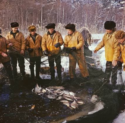 Fishing 8379069 27.02.1992 Latvia. Fishermen of the Ignalin Fishing Company at a lake on the border between Latvia and Belarus. Marius Baranauskas Latvia  Copyright: xMariusxBaranauskasx