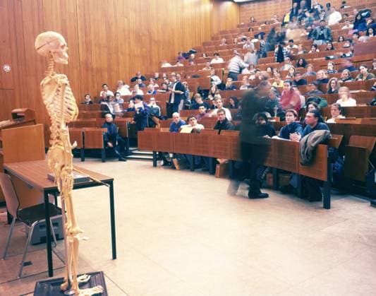 Vorlesung in der Universitaet Bochum 1997 DEU, Deutschland, Bochum: Vorlesung in der Universitaet Bochum, hier am 6.1.1997 , vor Studenten im Studienfach Medizin. DEU, Germany, Bochum: Lecture at the University of Bochum, here on January 6th, 1997, in front of medical students. NRW *** Lecture at the University of Bochum 1997 DEU, Germany, Bochum Lecture at the University of Bochum, here on January 6 1 1997 , in front of medical students NRW