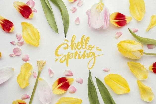 RECORD DATE NOT STATED hello spring word flower petals. Resolution and high quality beautiful photo. hello spring word flower petals. High quality beautiful photo concept; Hallo Fruehling Wort Blume Blütenblätter Auflösung und hohe Qualität Schönes Foto Hallo Fruehling Wort Blume Blütenblätter hohe Qualität Schönes Foto Konzept IST_35069_06299