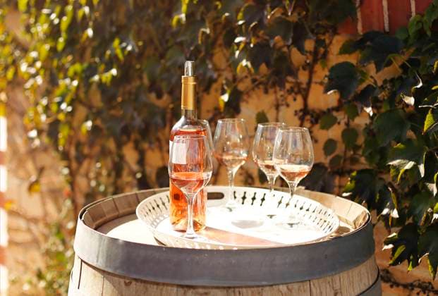 Many glasses and bottle of rose wine in the autumn vineyard Many glasses and bottle of rose wine in the autumn vineyard, degustation concept Copyright: xZoonar.com DashaxPetrenkox 17546380