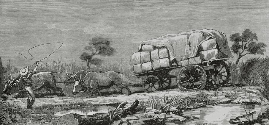 South Africa. First Boer War or Transvaal War (1880-1881). Difficulties in transporting British army equipment. Engraving, 19th century. South Africa. First Boer War or Transvaal War (1880-1881). Conflict between Boer settlers who successfully resisted the British Empire s attempt to annex the Transvaal. Difficulties in transporting British army equipment. Engraving. La Ilustracion Espanola y Americana, 1881. South Africa  Copyright: xKenaxImagesx 353-34600