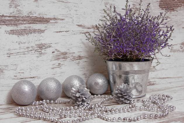 silberne und lila Weihnachtsdekoration silver and purple christmas decoration BLWS682071 *** Silver and purple Christmas decorations Silver and Purple Christmas Decoration BLWS682071 Copyright: xblickwinkel R.xRebmannx