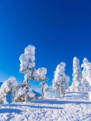 Creative Highlights World Landschaft mit Schnee im Winter in Ruka, Finnland. *** Landscape with Snow at Winter in ruka, Finland 1042601338