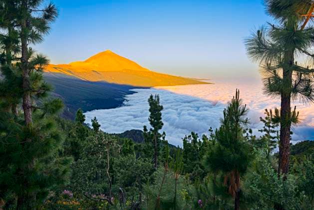 Pico del Teide bei Sonnenaufgang über Passatwolken, Nationalpark Teide, Teneriffa, Kanarische Inseln, Spanien, Europa *** Pico Del Teide at Sunrise via trade wind clouds, National Park Teide, tenerife, Canary Islands islands, Spain, Europe Copyright: imageBROKER IngoxSchulz ibxisb09101353.jpg