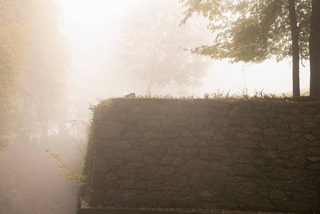 Trees and bushes with golden foliage growing near stone fence in foggy city park RobertKohlhuber_Autumn_35 Copyright: xRobertxKohlhuberx Model Released