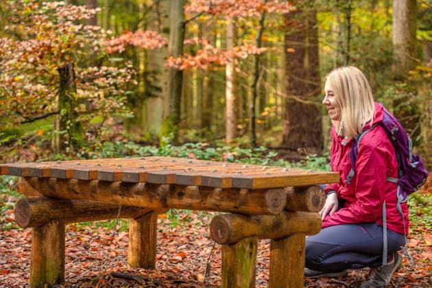 Woman before forest organ at Forest, Schoemberg, black forest, Germany, Europe Copyright: imageBROKER/ManuelxKamuf ibxmlk09048291.jpg ,model released, Symbolfoto ,property released