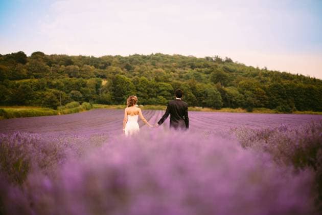 bride and groom in a lavender field in france Saint-Rémy-de-Provence, Provence-Alpes-Côte d Azur, France CR_IVUG230314-1152804-01 EDITORIAL USE ONLY