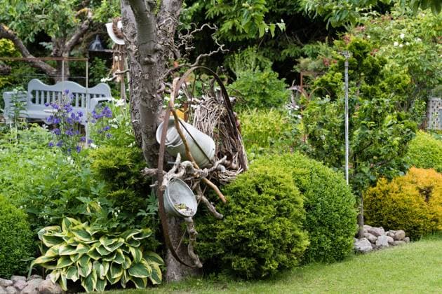 Stadtgarten in Neukloster in Mecklenburg-Vorpommern Schüssel und Milchkanne aus Emaille haengen am Apfelbaum im Nutz- und Ziergarten mit Pflanzen, wie Funkie, traenendes Herz, Buchsbaum, Stachelbeere, Zypresse, Akelei. Im Hintergrund steht eine blaue Friesenbank zum Ausruhen. Ein Garten versteckt hinter einem Backsteinhaus in der Kleinstadt Neukloster direkt am Hopfenbach. Stauden, Gehoelze, Rosen, Obstbäume und Gemuesebeete sind dekoriert mit altem Trödel. An verschiedenen Ecken laden Sitzgelegenheiten zum Entspannen ein. *** City Garden in Neukloster in Mecklenburg Western Pomerania Bowl and Milk churn from Email hang on Apple tree at Nutz and Ornamental Garden with Plant, like hosta, Traenende Heart, boxwood, gooseberry, Cypr