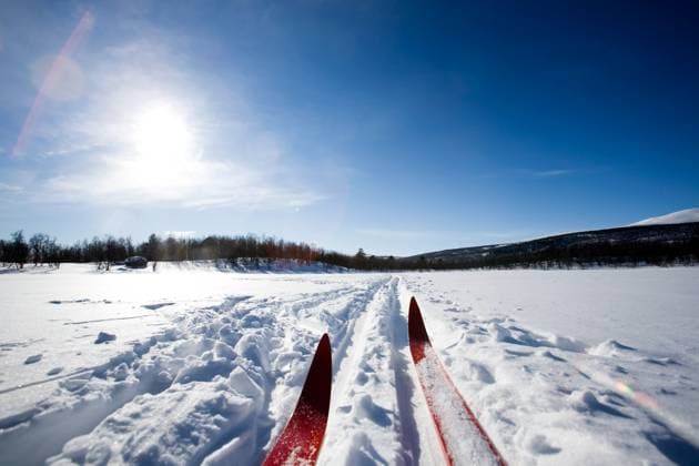 A cross country ski detail Copyright: xTylerxOlsonx xDesignxPicsx , 30315531 Copyright: 30315531