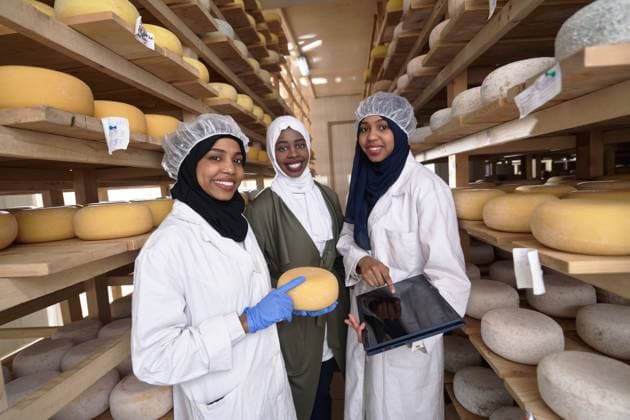 business woman team in local cheese production company middle eastern black african muslim female business woman team in local cow and goat milk cheese food production company ,model released, Symbolfoto Copyright: xZoonar.com benisxarapovicx 16471308 ,model released, Symbolfoto ,property released