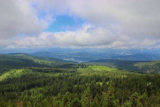 RECORD DATE NOT STATED A rainy view to the lake in the middle of forest at Sumava, Czech republic *** einer verregnet Ansicht an der See ÊIn der Mitte des Wald im Sumava, Tschechische Republik 15106687