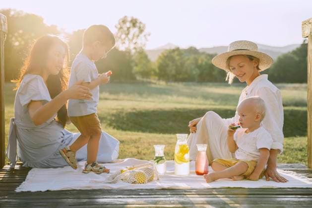 Women spending time together with sons at picnic model released, Symbolfoto, NDEF00389