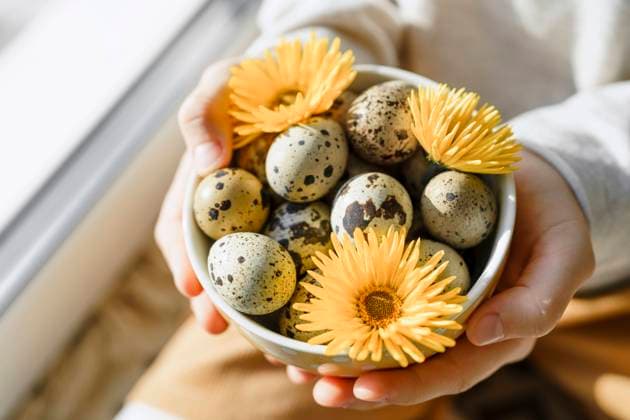 Hands of girl holding Easter egg with sunflowers in bowl at home model released, Symbolfoto property released, VBUF00262