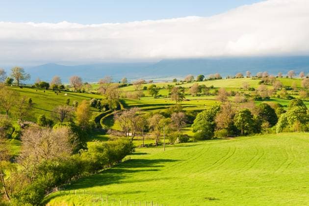Typical landscape in Yorkshire Dales National Park in Great Britain Copyright: xRadomirxRe?nýx xDesignxPicsx , 30582446 Copyright: RadomirxRe?nýx xDesignxPics 30582446