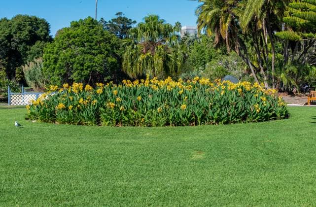 Royal Botanic Garden Sydney, Australia Flowers at Royal Botanic Garden, Sydney, New South Wales, Australia Sydney New South Wales Australia Copyright: xTaraxMalhotrax