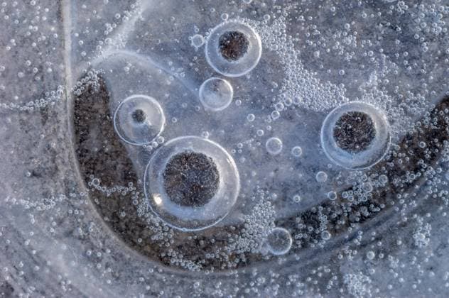 Creative Highlights World Luftblasen, die im Eis gefangen sind, das sich in einem eisigen Winter auf einem Fluss gebildet hat. Elsass, Frankreich, Europa *** air bubbles, the at Ice trapped are, the itself in a icy Winter at a River formed has Alsace, France, Europe Copyright: imageBROKER/ncphoto ibxcde09138011.jpg