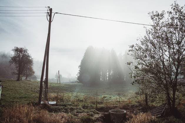 IMAGO Creative, Jahreszeit Herbst auf dem Land Dense fog over green field in countryside RobertKohlhuber_FoggyAutumnLandscapes_22 Copyright: xRobertxKohlhuberx Model Released