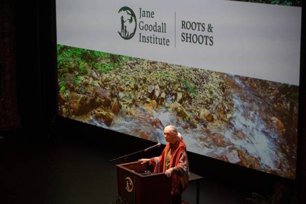 March 29, 2023, Tampa, Florida, USA: World renown scientist Dr. Jane Goodall speaks on stage during a lecture at the Tampa Theatre on Wednesday, March 29, 2023 in Tampa. Tampa USA - ZUMAs70_ 20230329_zan_s70_076 Copyright: xLuisxSantanax