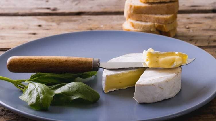 Close-up of brie cheese with herb and knife in plate on table, copy space Close-up of brie cheese with herb and knife in plate on table, copy space. unaltered, food and dairy product., model released, , property released, Cape Town, South Africa, 2022-03-02T22:00:00.000Z, 3617622.jpg, close,brie,cheese,herb,knife,plate,table,copy space,unaltered,food,dairy product,meal,delicious,dinner,lunch,fresh,cuisine,gourmet,tasty,camembert,dish,cooking,restaurant,healthy,snack,ingredient,vegetable,organic,drink,diet,breakfast,copy,space,dairy,product