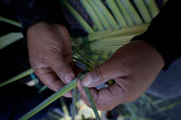 Palm Sunday In Mexico Elaboration of palm crosses in San Francisco Culhuacan in Mexico City, on april 02, 2023, prior to the representation of the Triumphal Entry of Jesus Christ into Jerusalem, while a crowd welcomed him with palm leaves in their hands, according to the Gospel of Matthew, on the occasion of Palm Sunday and the Holy Week festivities in the capital. Mexico City Mexico  Copyright: xGerardoxVieyrax originalFilename: vieyra-notitle230402_npSyo.jpg