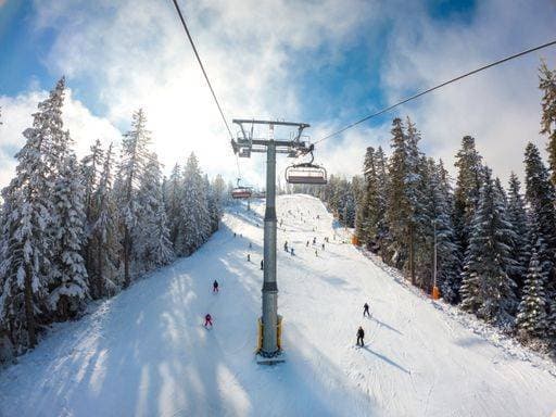 RECORD DATE NOT STATED A distant view of people skiing under the ropeway surrounded by pine trees *** einer entferntes Ansicht des Personen Skifahren unterhalb der ropeway umgeben indem Föhre Bäume 15872115