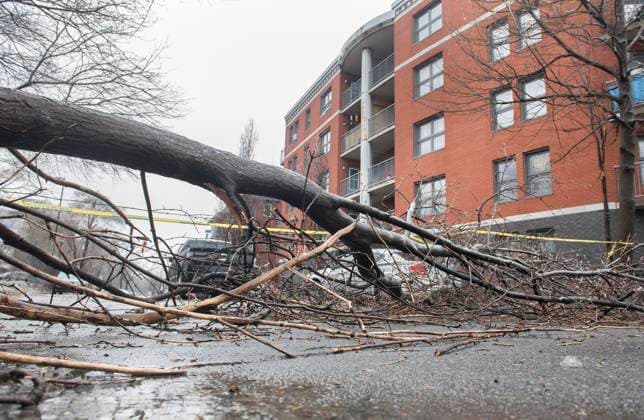 April 6, 2023, Montreal, PQ, Canada: A fallen tree branch blocks a street following an ice storm in Montreal, Thursday, April 6, 2023. Montreal Canada  - ZUMAc35_ 20230406_zaf_c35_001 Copyright: xGrahamxHughesx