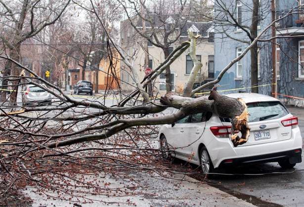 April 6, 2023, Montreal, PQ, Canada: A fallen tree is shown on a care following an ice storm in Montreal, Thursday, April 6, 2023. More than one million customers in Quebec and Ontario were without power Wednesday after a messy mix of freezing rain and thunderstorms pummeled parts of both provinces. Montreal Canada  - ZUMAc35_ 20230406_zaf_c35_020 Copyright: xGrahamxHughesx