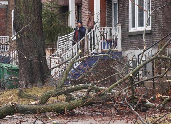 April 6, 2023, Montreal, PQ, Canada: People survey the damage around their home in Montreal, Thursday, April 6, 2023 after an ice storm which left more than a million customers without power in the province. Montreal Canada  - ZUMAc35_ 20230406_zaf_c35_017 Copyright: xRyanxRemiorzx