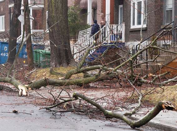 April 6, 2023, Montreal, PQ, Canada: People survey the damage around their home in Montreal, Thursday, April 6, 2023 after an ice storm which left more than a million customers without power in the province. Montreal Canada  - ZUMAc35_ 20230406_zaf_c35_018 Copyright: xRyanxRemiorzx