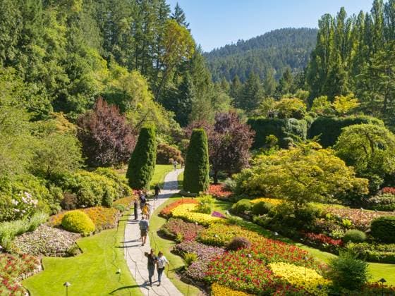 The Sunken Garden at Victoria s Butchart Gardens, planted in a former limestone quarry, starting in 1904, Victoria, Vancouver Island, British Columbia, Canada, North America Copyright: MelissaxKuhnell 1242-527 Editorial Use Only