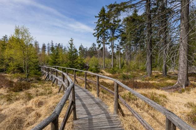 RECORD DATE NOT STATED Stolowe Mountains National Park in Kudowa-Zdroj, Poland. A popular destination for trips in Poland. , 31843154.jpg, national, scenics, trail, bAÂ‚ÄÂ™dne skaAÂ‚y, geology, silesia, klodzko, stolowe, bledne skaly, formations, hiking, errant rocks, wild, hiking trail, natural, landmark, polish, rock formation, szczeliniec, sudetes, szczeliniec wielki, poland, nature, landscape, travel, outdoor, park, rock, tourism, scenery, beautiful, national park, stolowe mountains, table mountains, mountain, stone, mountains, summer, scenic, sudety, environment, europe, formation, attraction, erosion, forest, sandstone, labyrinth, view, tree