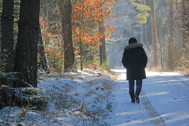 Waldweg im Winter Waldweg im Winter ,model released, Symbolfoto Copyright: xZoonar.com WalterxxJ.Pilsakx 13276609 ,model released, Symbolfoto ,property released