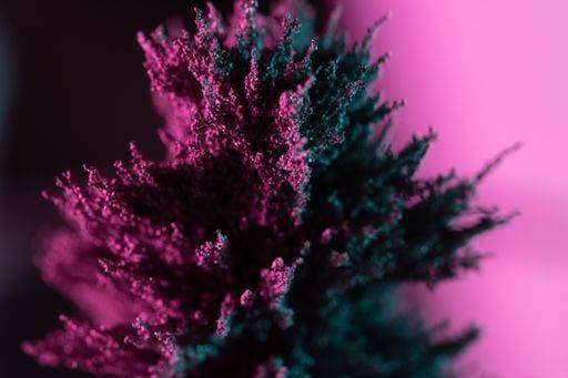 RECORD DATE NOT STATED An illuminated decorative tree in purple color *** An&Verkauf beleuchtet Dekorativ Baum ÊIn lila farbiges 1905315