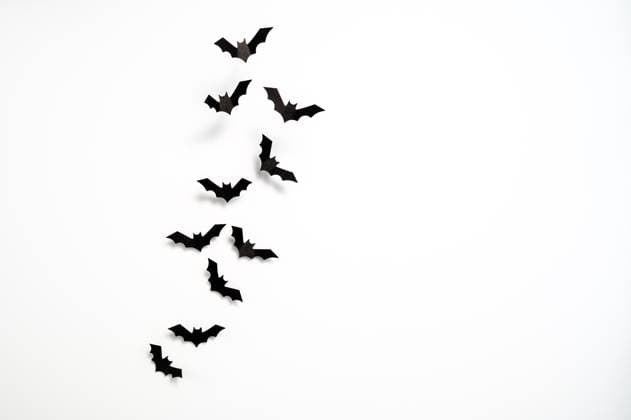 Schwarm schwarzer Papier-Fledermäuse hebt ab Ein Schwarm schwarzer Papier-Fledermäuse im Flug auf weißem Hintergrund mit Textfreiraum Copyright: xZoonar.com MarcusxFriedrichx 17792373