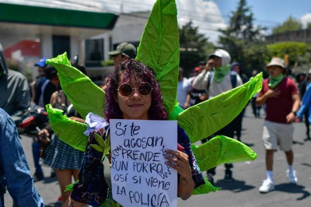 World Cannabis Day in State of Mexico April 20 , 2023 Toluca , Mexico : Thousands of young people and adults took to the streets of the city where they participated in the 5th cannabis walk in commemoration of World Cannabis Day, demanding its legalization as a plant for recreational purposes. on April 20, 2023 in Toluca, MÃ xico. (Photo by Arturo Hernandez Eyepix Group) Copyright: xArturoxHernandezx xEyepixxGroupx AH_200423_17