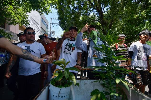 World Cannabis Day in State of Mexico April 20 , 2023 Toluca , Mexico : Thousands of young people and adults took to the streets of the city where they participated in the 5th cannabis walk in commemoration of World Cannabis Day, demanding its legalization as a plant for recreational purposes. on April 20, 2023 in Toluca, MÃ xico. (Photo by Arturo Hernandez Eyepix Group) Copyright: xArturoxHernandezx xEyepixxGroupx AH_200423_18