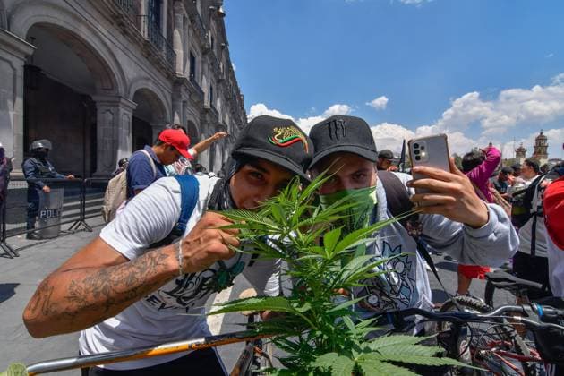 World Cannabis Day in State of Mexico April 20 , 2023 Toluca , Mexico : Thousands of young people and adults took to the streets of the city where they participated in the 5th cannabis walk in commemoration of World Cannabis Day, demanding its legalization as a plant for recreational purposes. on April 20, 2023 in Toluca, MÃ xico. (Photo by Arturo Hernandez Eyepix Group) Copyright: xArturoxHernandezx xEyepixxGroupx AH_200423_09
