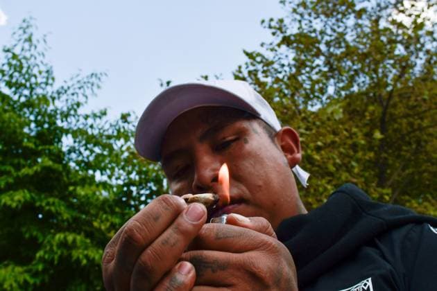 World Cannabis Day in State of Mexico April 20 , 2023 Toluca , Mexico : Thousands of young people and adults took to the streets of the city where they participated in the 5th cannabis walk in commemoration of World Cannabis Day, demanding its legalization as a plant for recreational purposes. on April 20, 2023 in Toluca, MÃ xico. (Photo by Arturo Hernandez Eyepix Group) Copyright: xArturoxHernandezx xEyepixxGroupx AH_200423_03
